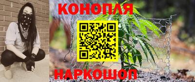 прущая мука Гай