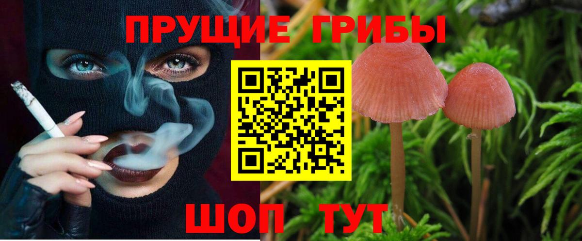 Псилоцибиновые грибы Magic Shrooms Сатка