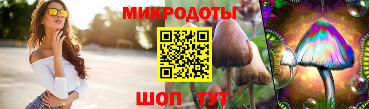 Сатка  Галлюциногенные грибы мицелий  Вход с VPN  Псилоцибиновые грибы GOLDEN TEACHER 